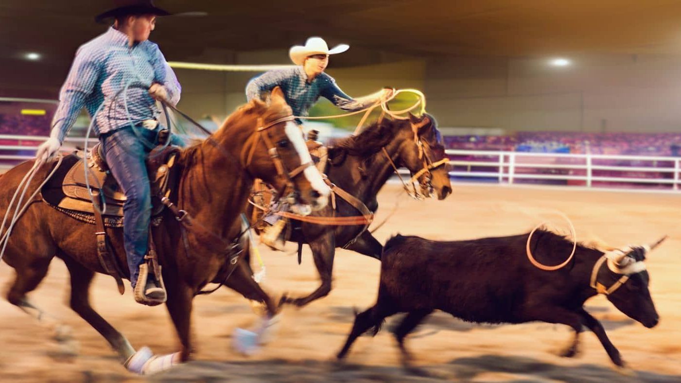 Two cowboys on horseback roping a steer in an arena. One cowboy is roping the steer while the other is flanking it.