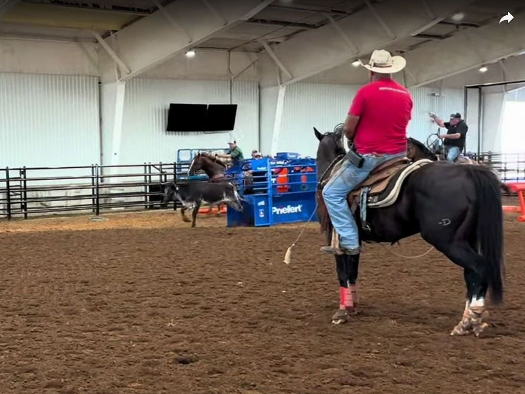 A man riding a horse in a rodeo arena