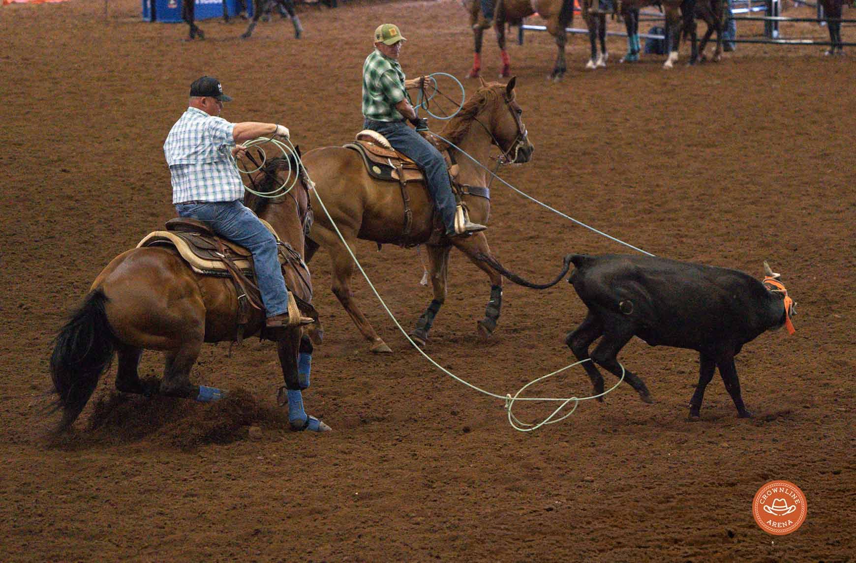 Two cowboys roping a steer in a rodeo arena.