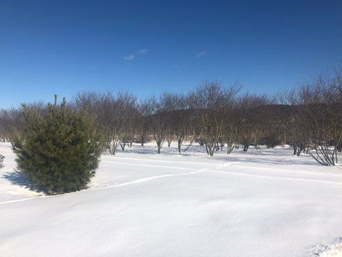 February 2021 Newsletter