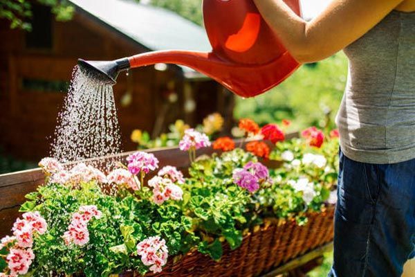 Gardening in Backyard — Aurora, OR — Aspen Lawn & Sprinklers Inc.