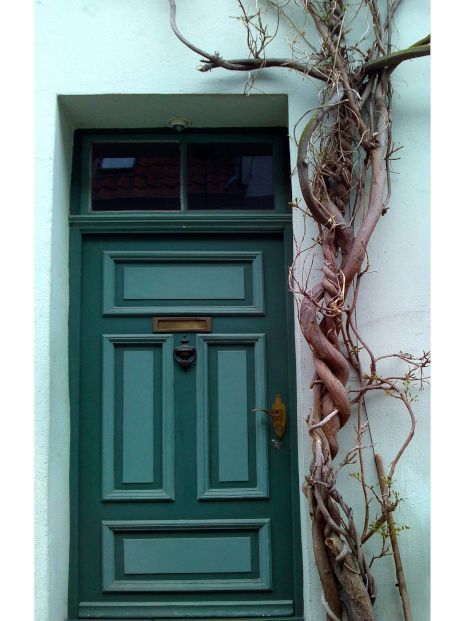 A green door is surrounded by a tree branch in Sunderland, UK. Door expertly painted by Foxglove Decor.