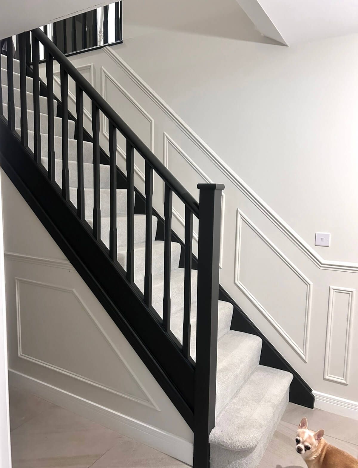 Staircase with black banister and white wainscoting. Light carpeted steps. Small dog looking up.