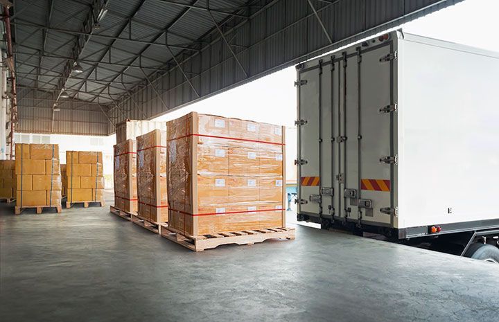 TRANSPORTES THE BIMBS
