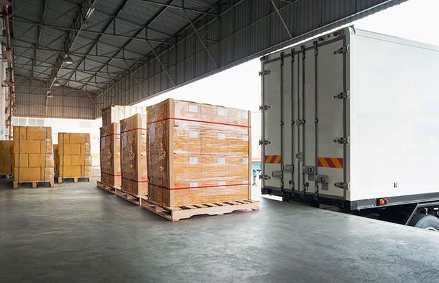 TRANSPORTES THE BIMBS