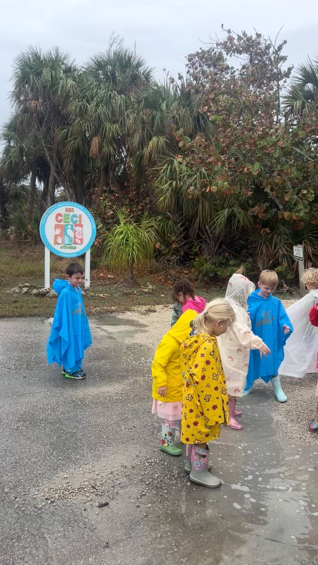 A group of children are standing in the rain wearing raincoats.