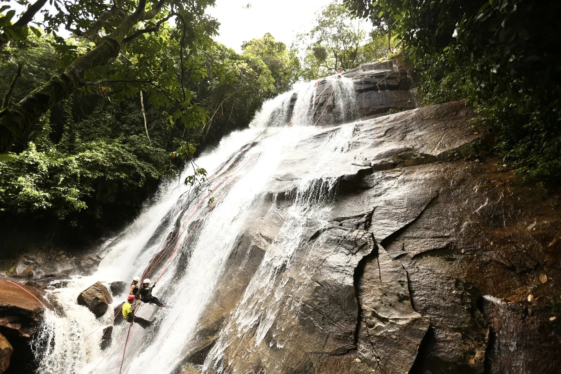 Uma cachoeira é cercada por árvores e pedras na selva