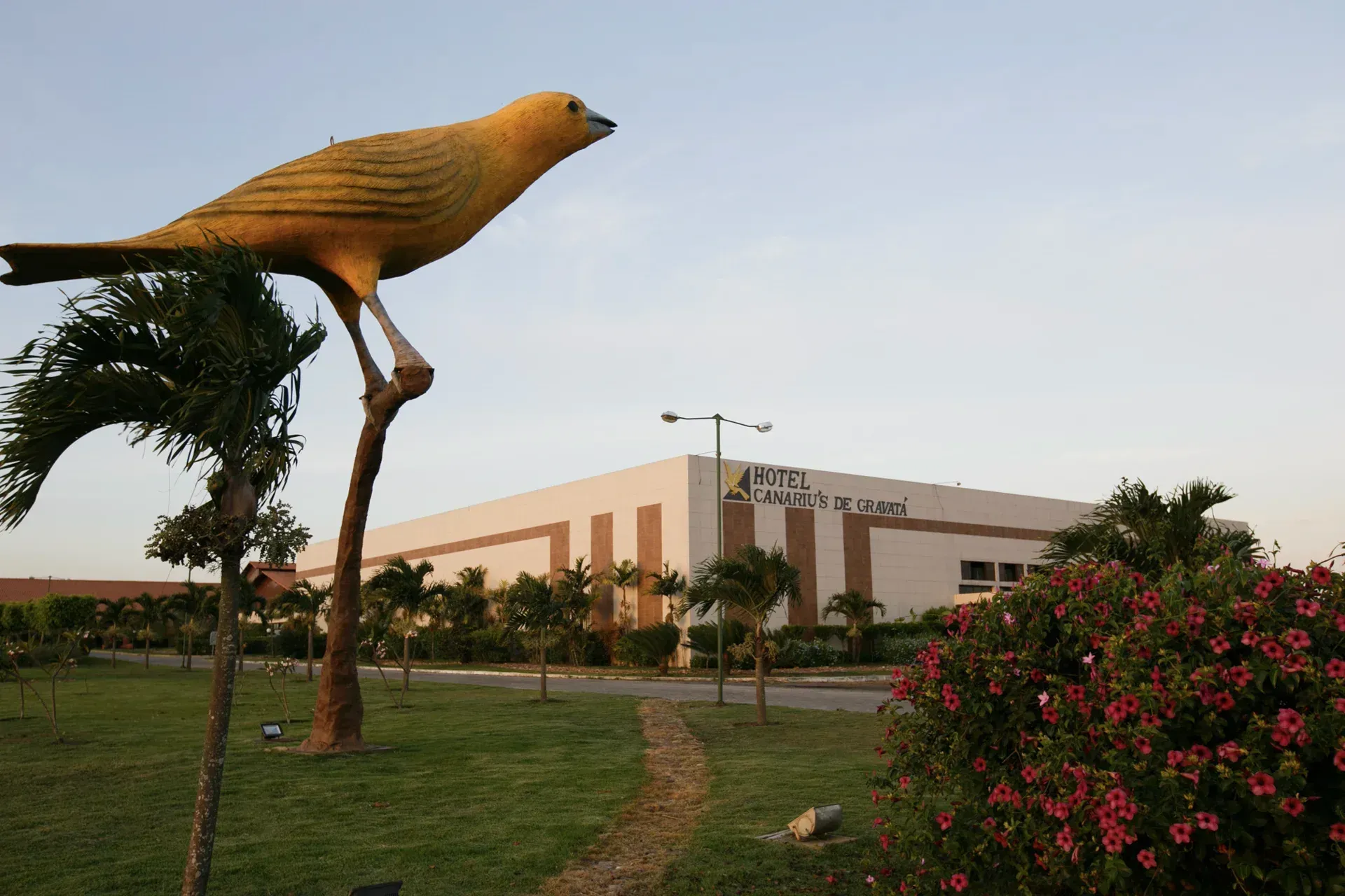 Um grande pássaro amarelo está pousado em um galho de árvore