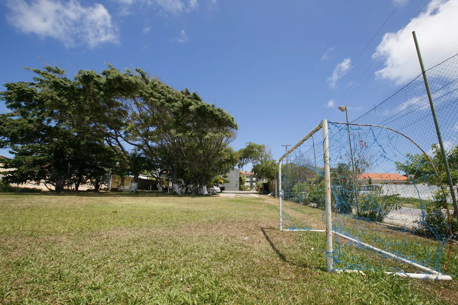 Um gol de futebol em um campo com árvores ao fundo