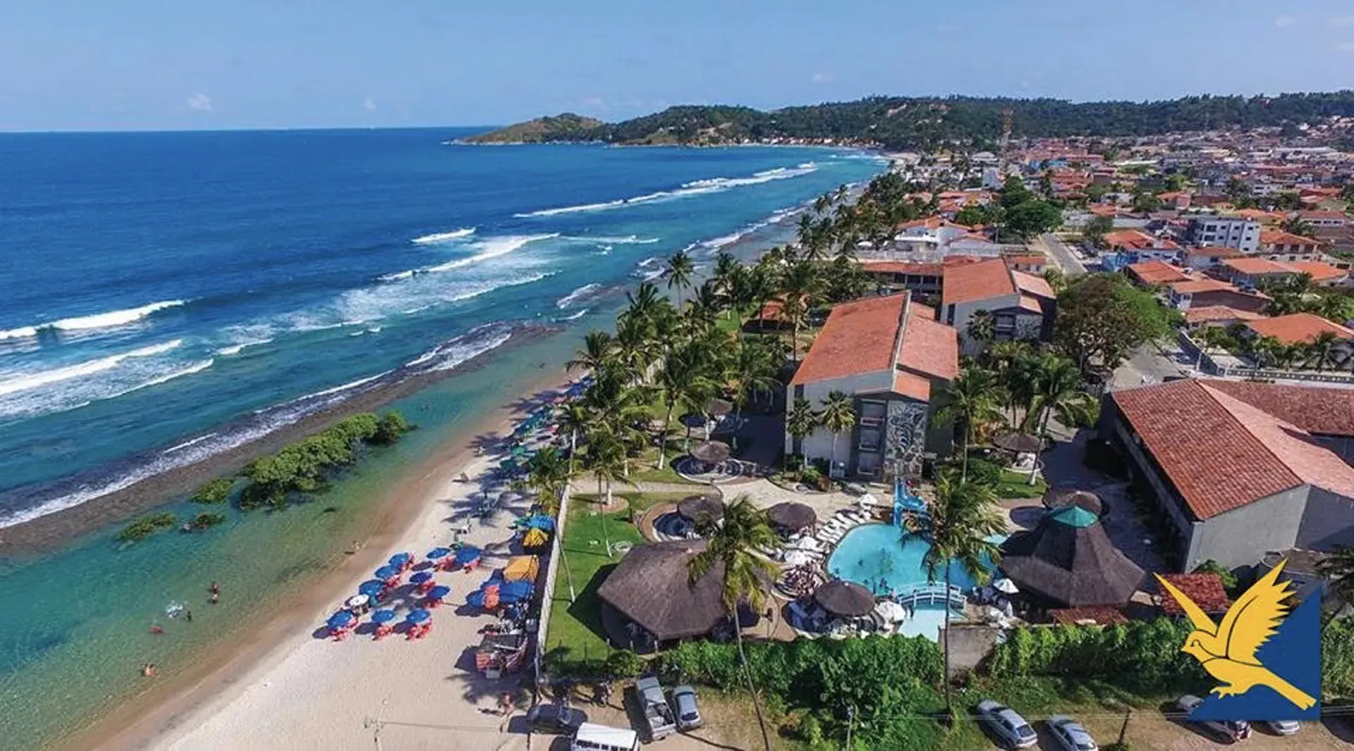 Uma vista aérea de uma praia com palmeiras e edifícios