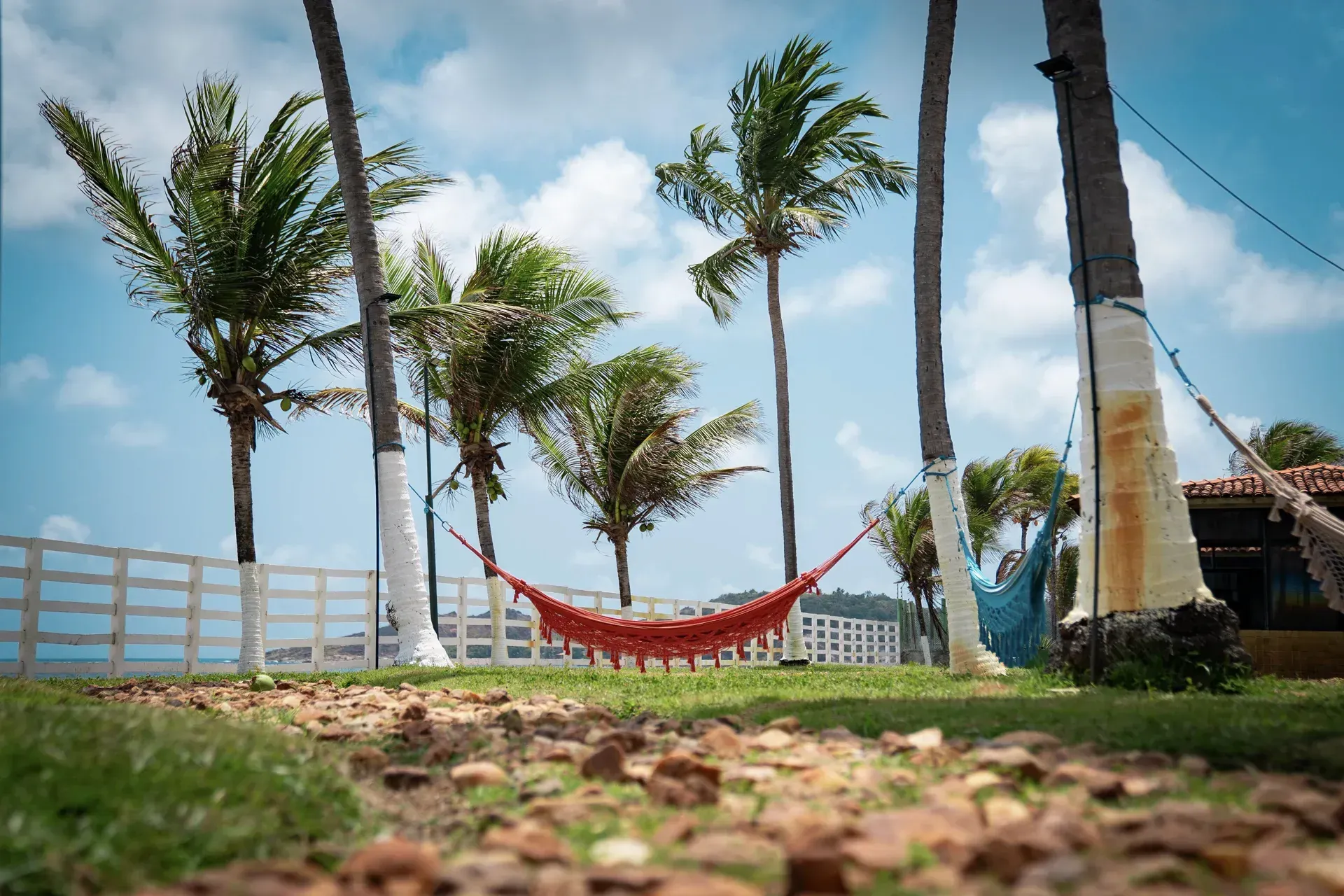 Uma rede vermelha está pendurada entre duas palmeiras.