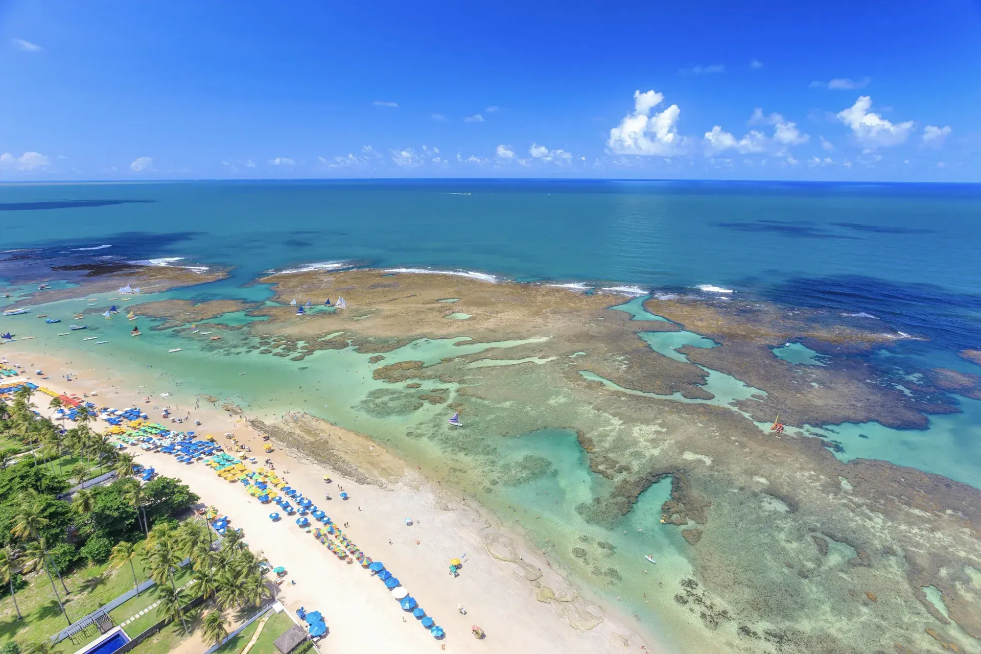 Uma vista aérea de uma praia com muitas cadeiras azuis.