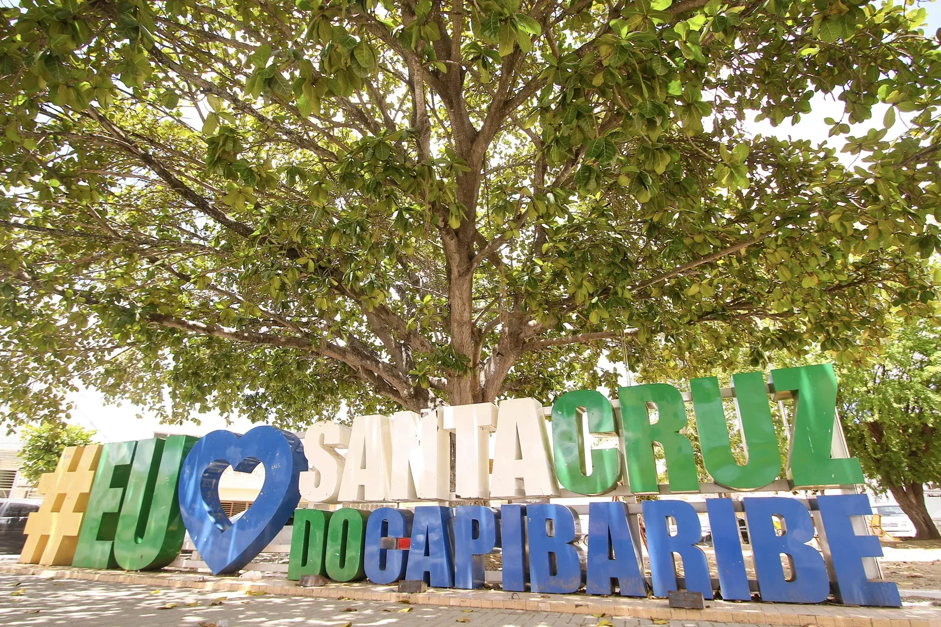 Uma placa que diz eu amo santa cruz do capibaribe em frente a uma árvore