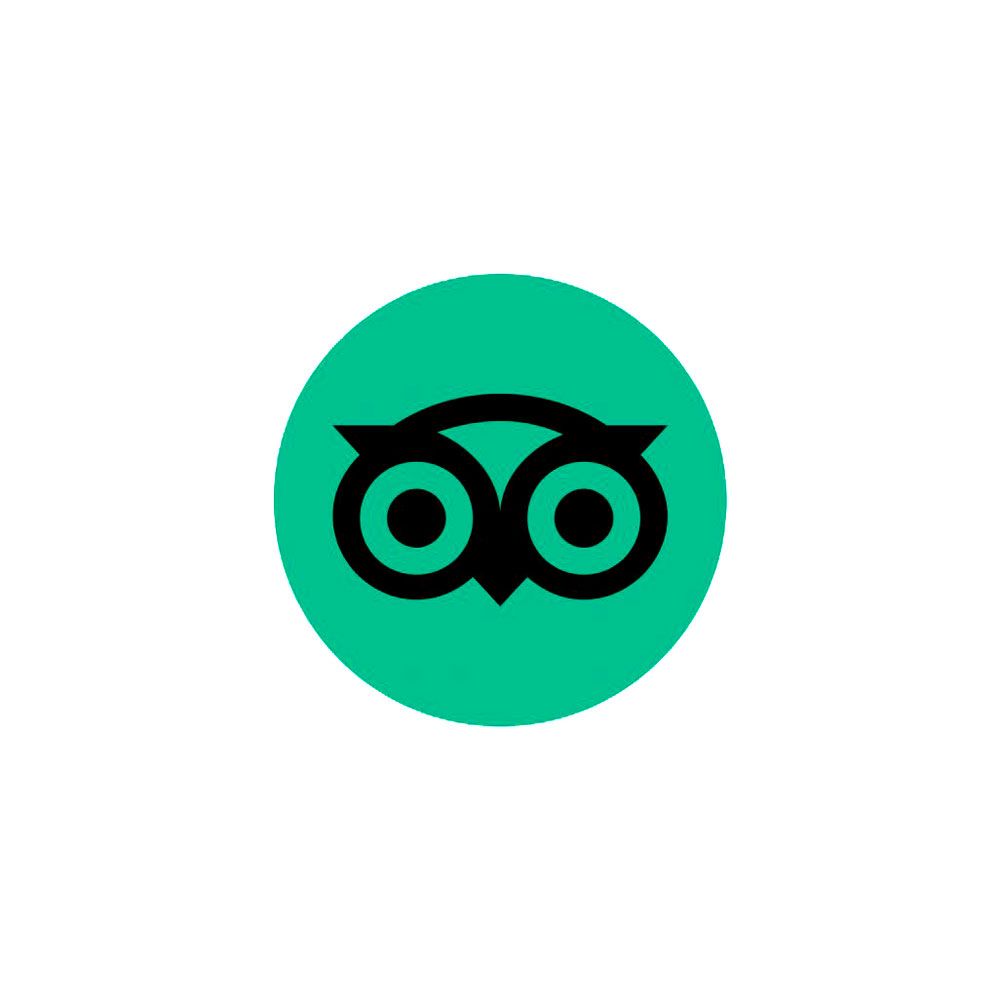 Uma coruja preta com dois olhos em um fundo verde.