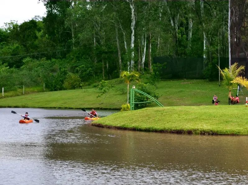 Duas pessoas estão andando de caiaque em um lago com árvores ao fundo.