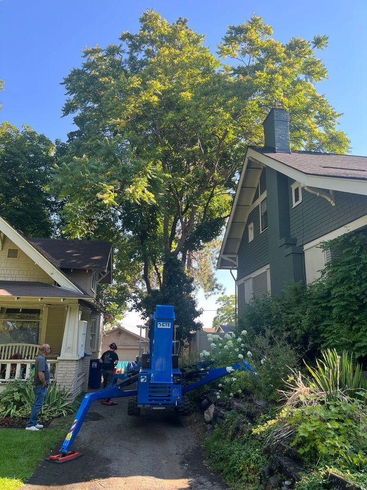 CTE lift Equipment for arborist