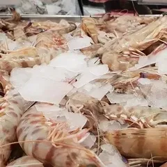 gastronomia chioggia