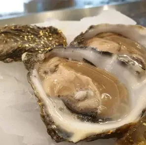 ostriche sottomarina