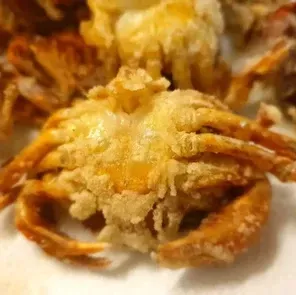 gastronomia chioggia