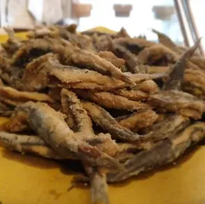 gastronomia chioggia