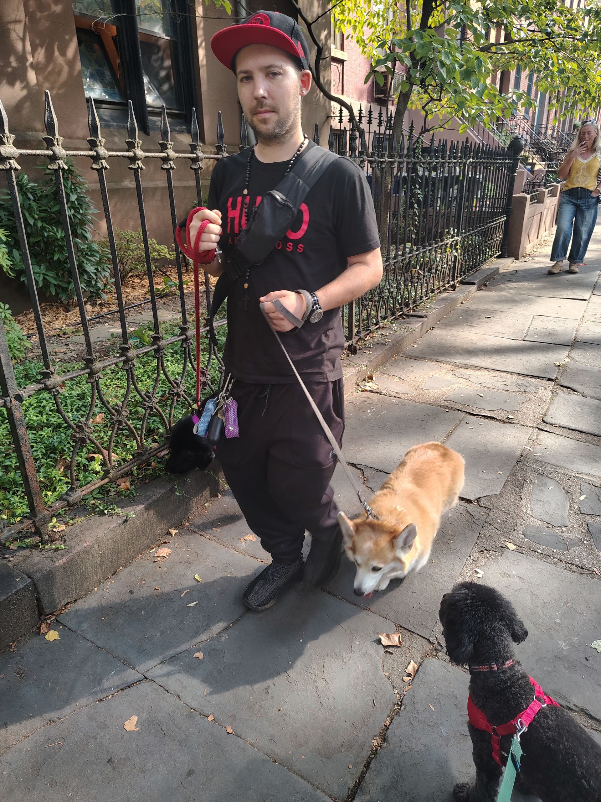 Man walking two dogs on a sidewalk in front of a wrought iron fence. One dog is a corgi, the other a poodle.