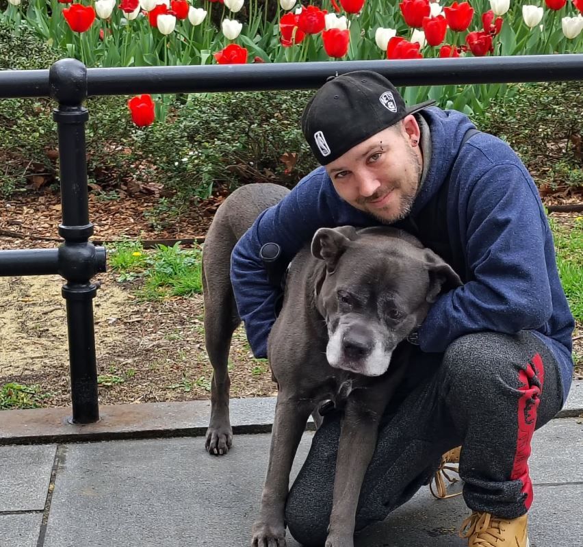 Man kneeling, hugging gray dog in front of tulip flowers, black railing, wearing a black hat and blue hoodie.