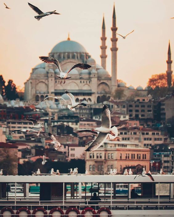 Legacy Ottoman Hotel , Blue Mosque