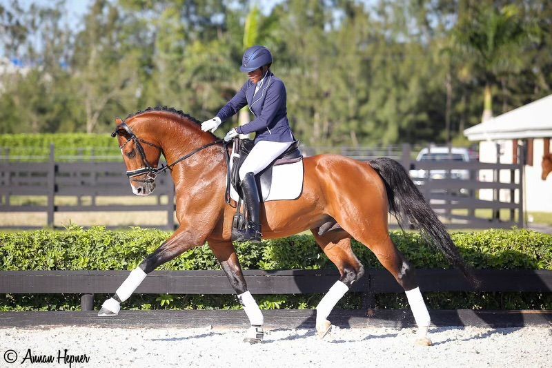 Aerial view of a large, square, light-colored equestrian riding arena surrounded by trees, a house, and other buildings.