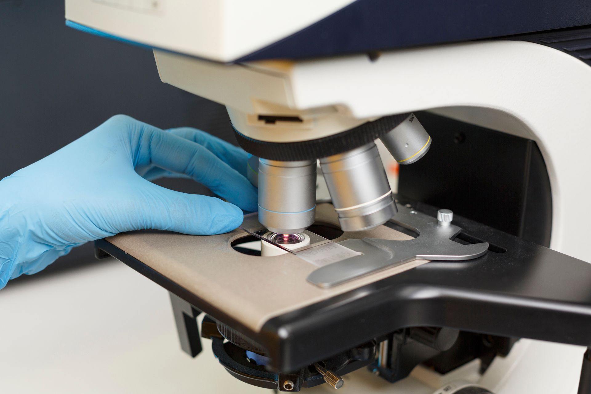 Adult's hands cupping child's hands, close-up. White shoes and denim visible.