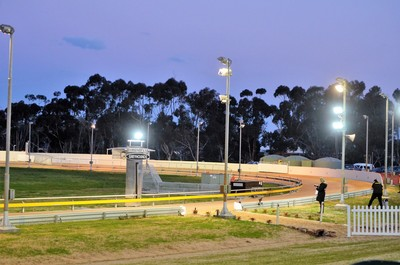 Horsham Greyhound Track