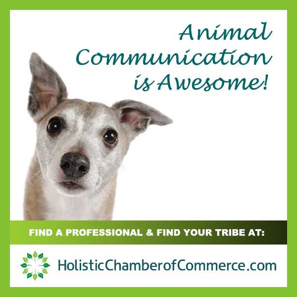 Animal communication is awesome!