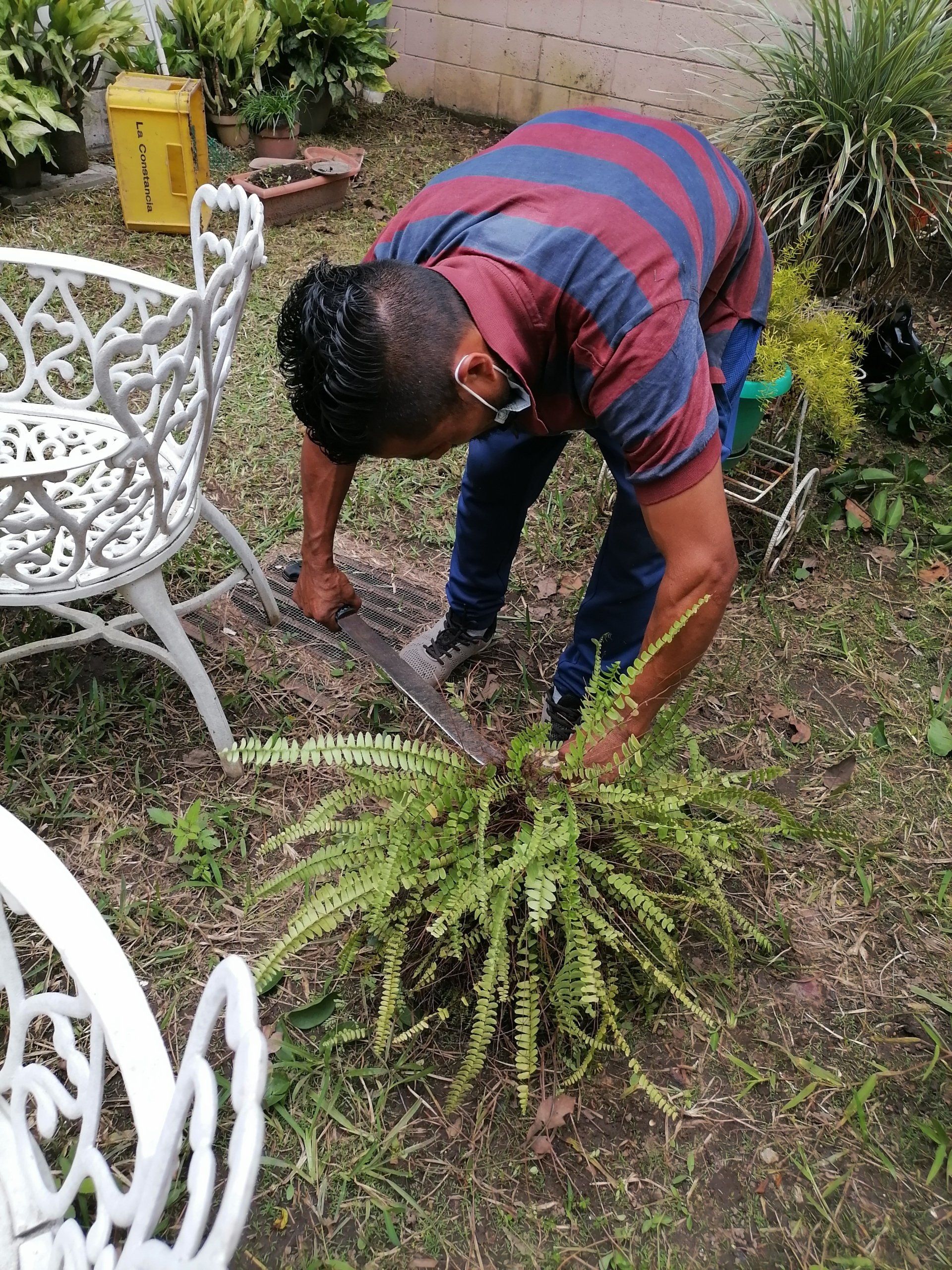 envié un correo de consulta