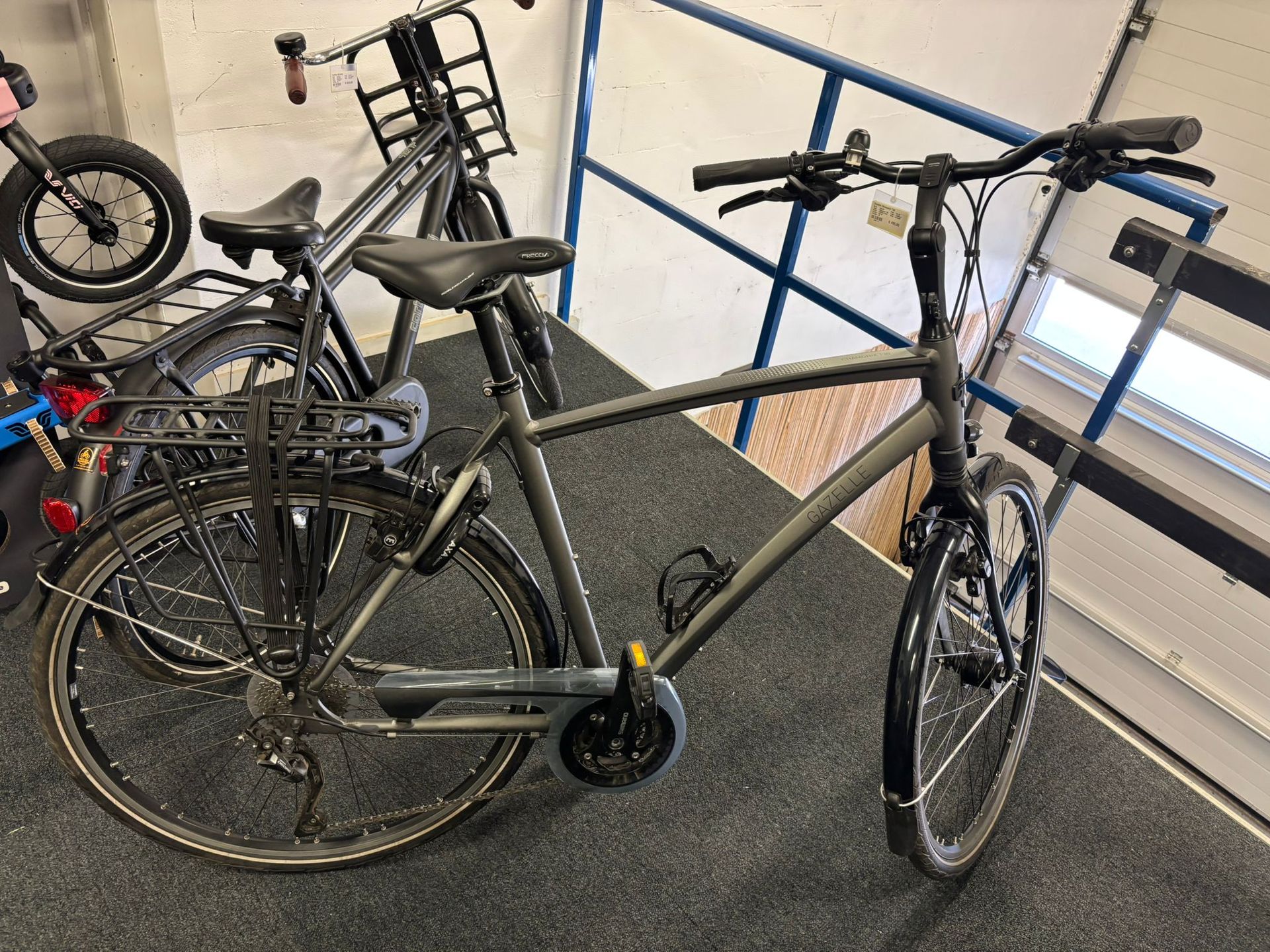 Gazelle Chamonix T30
