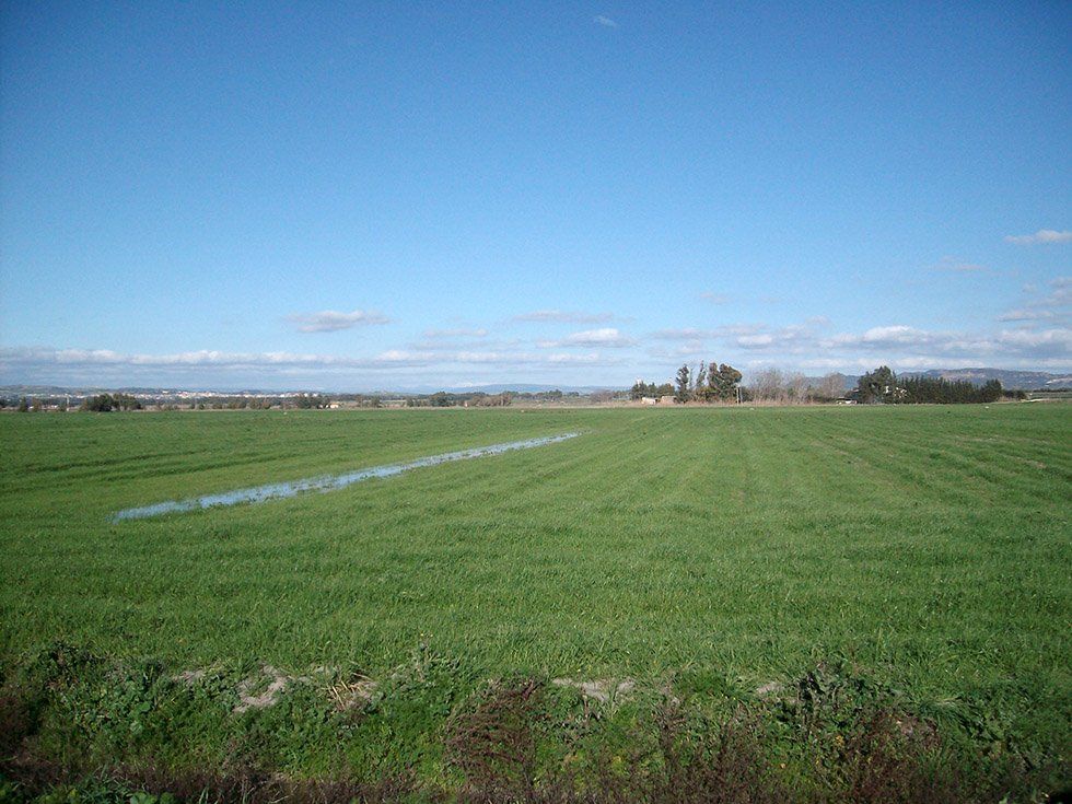 Azienda Agricola Su Stai