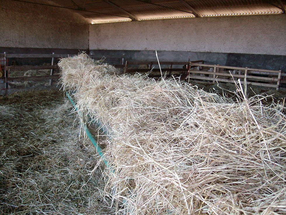Azienda Agricola Su Stai