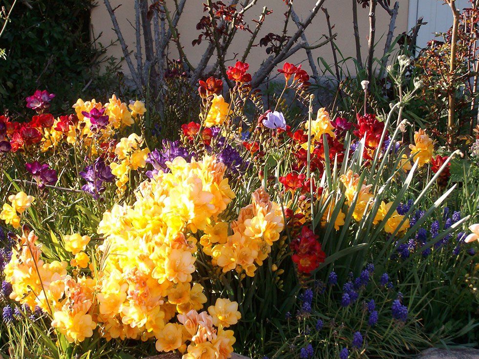 Azienda Agricola Su Stai