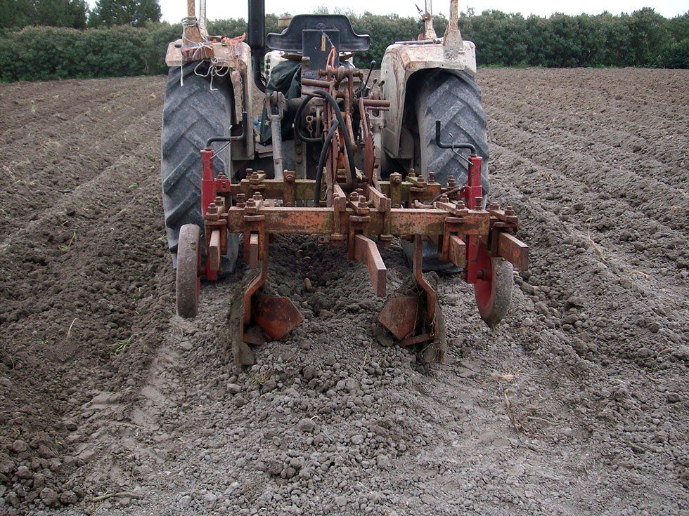 Azienda Agricola Su Stai