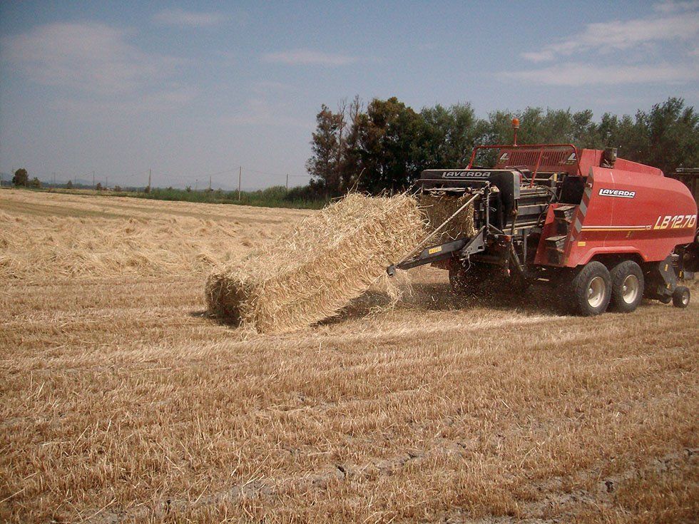 Azienda Agricola Su Stai