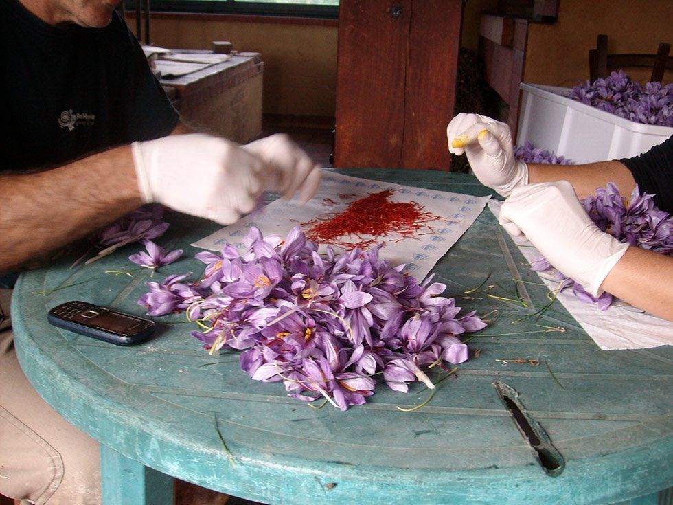 Azienda Agricola Su Stai