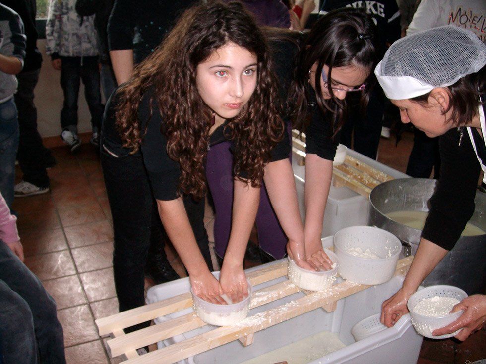 Fattoria Didattica Su Stai