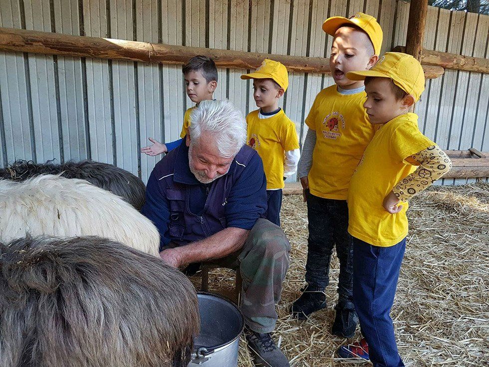 Fattoria Didattica Su Stai