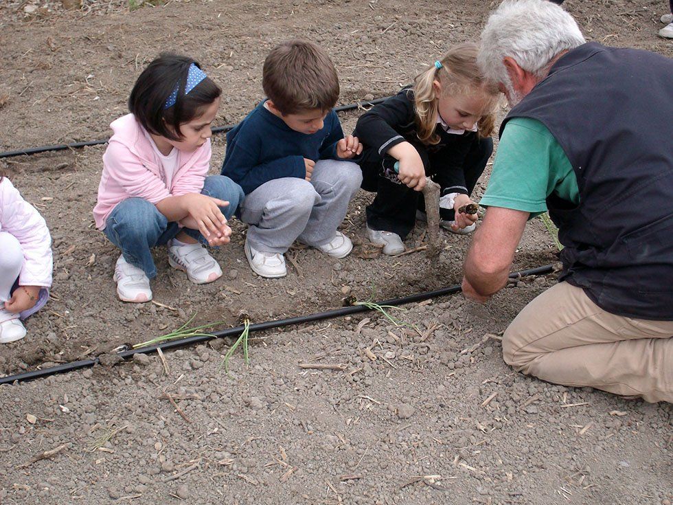 Fattoria Didattica Su Stai