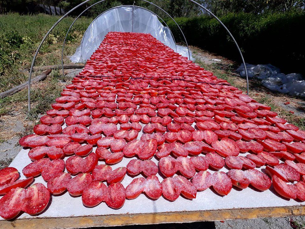 Vendita prodotti della Fattoria Su Stai