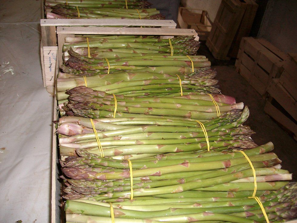 Vendita prodotti della Fattoria Su Stai