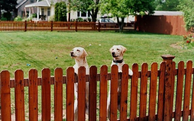 Deluxe Dog Ear Picket Fence in Georgia