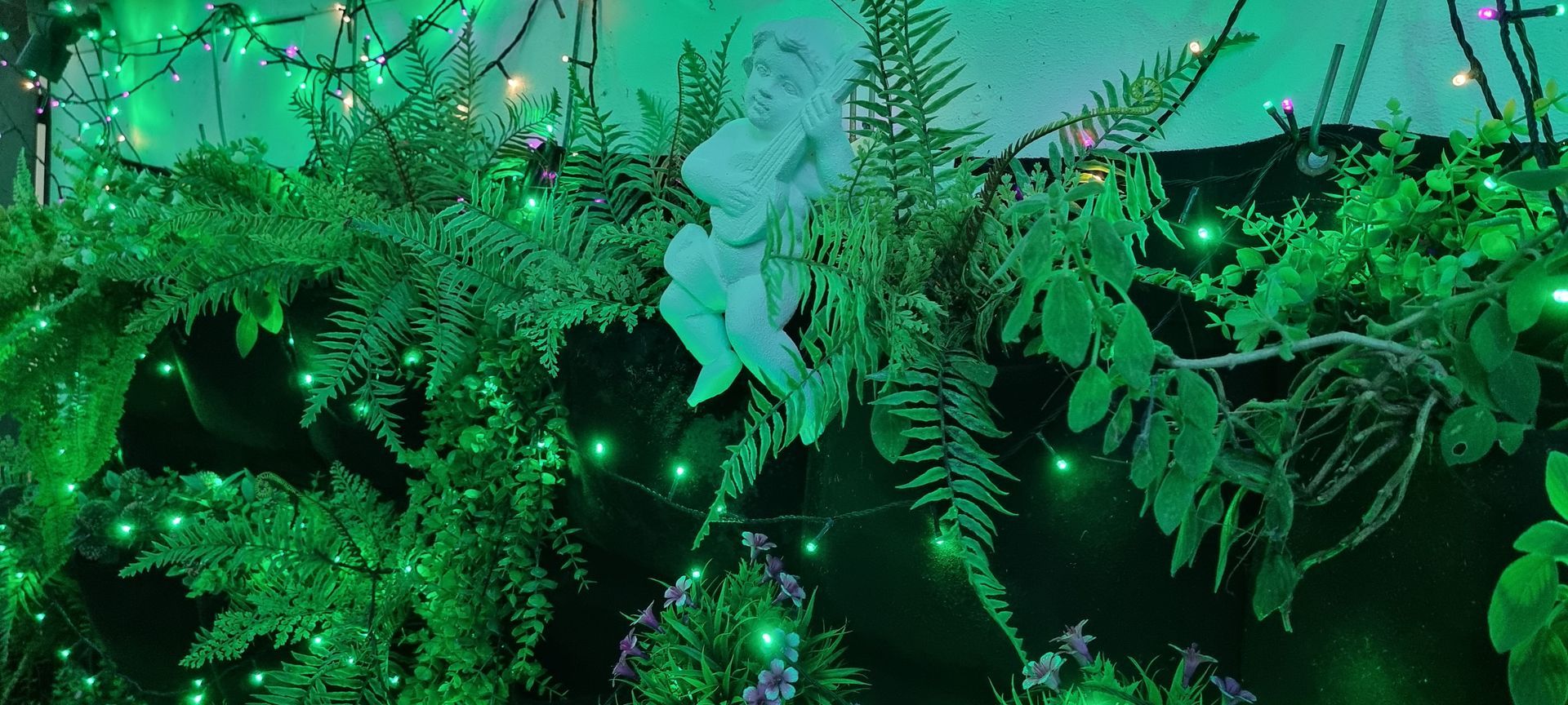 A statue of an angel is hanging from a tree branch surrounded by green plants and lights  — Wayne & Adele's Garden of Eating BYO Restaurant In South Townsville, QLD
