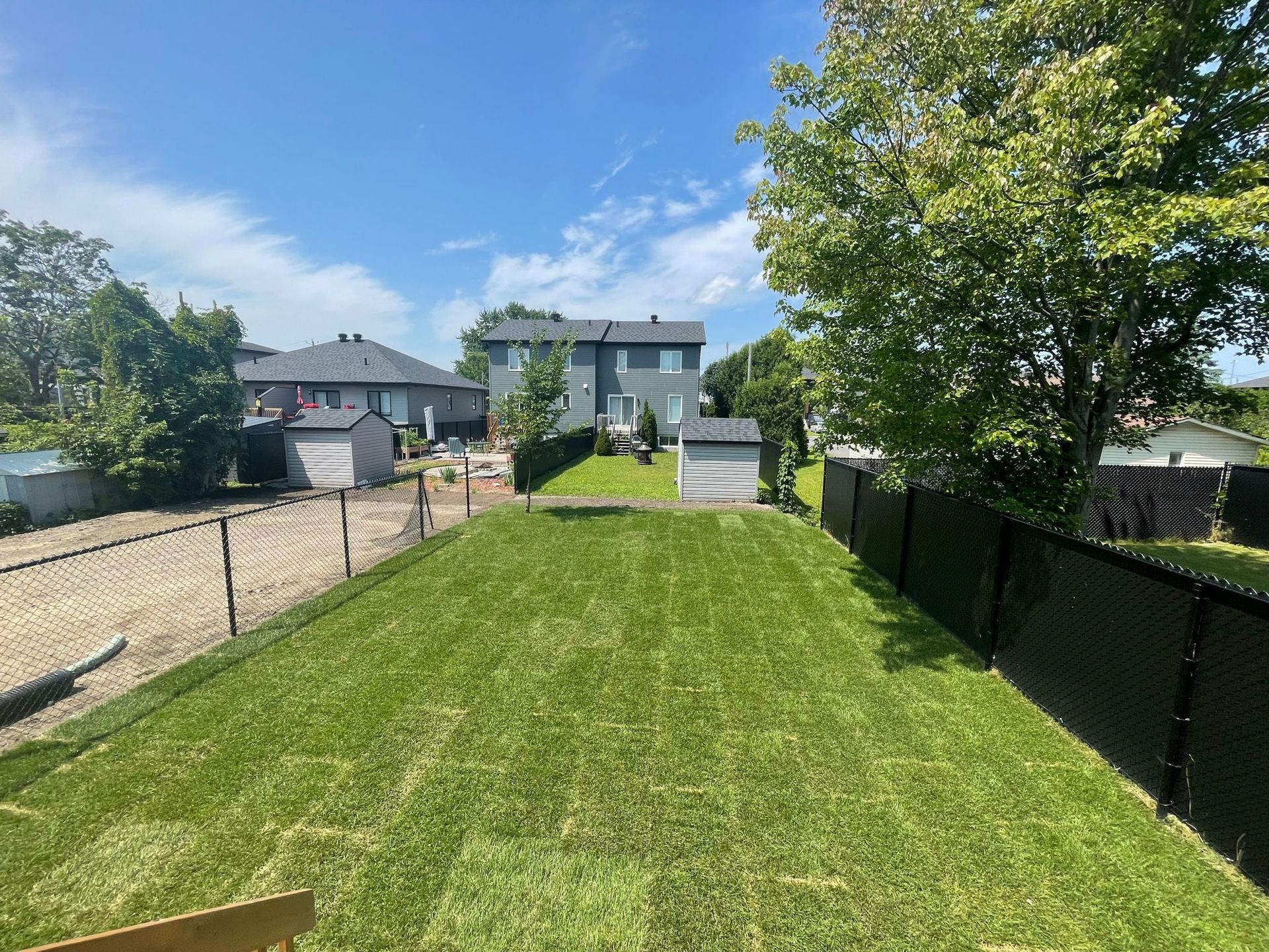 Une cour verdoyante avec une clôture à mailles losangées et une maison en arrière-plan.