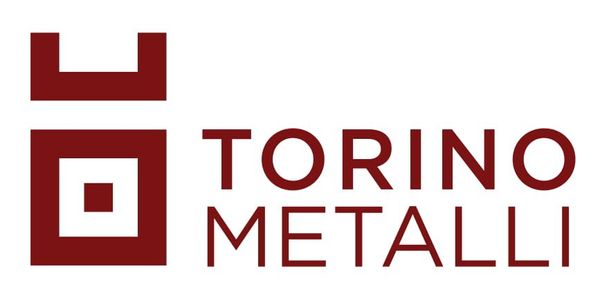 Torino metalli - LOGO
