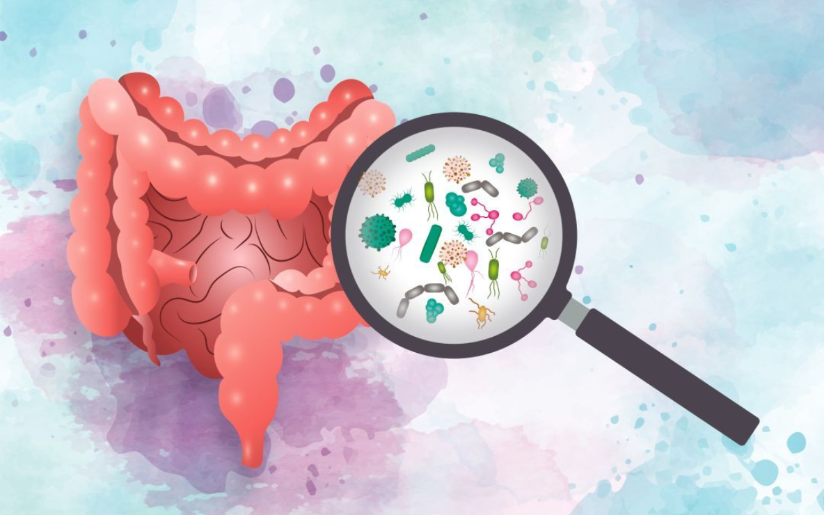Human intestine with a magnifying glass showing gut bacteria.