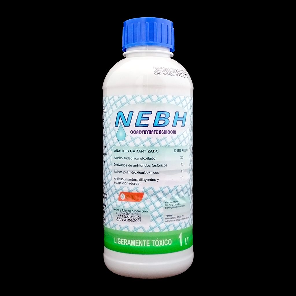 Nebh